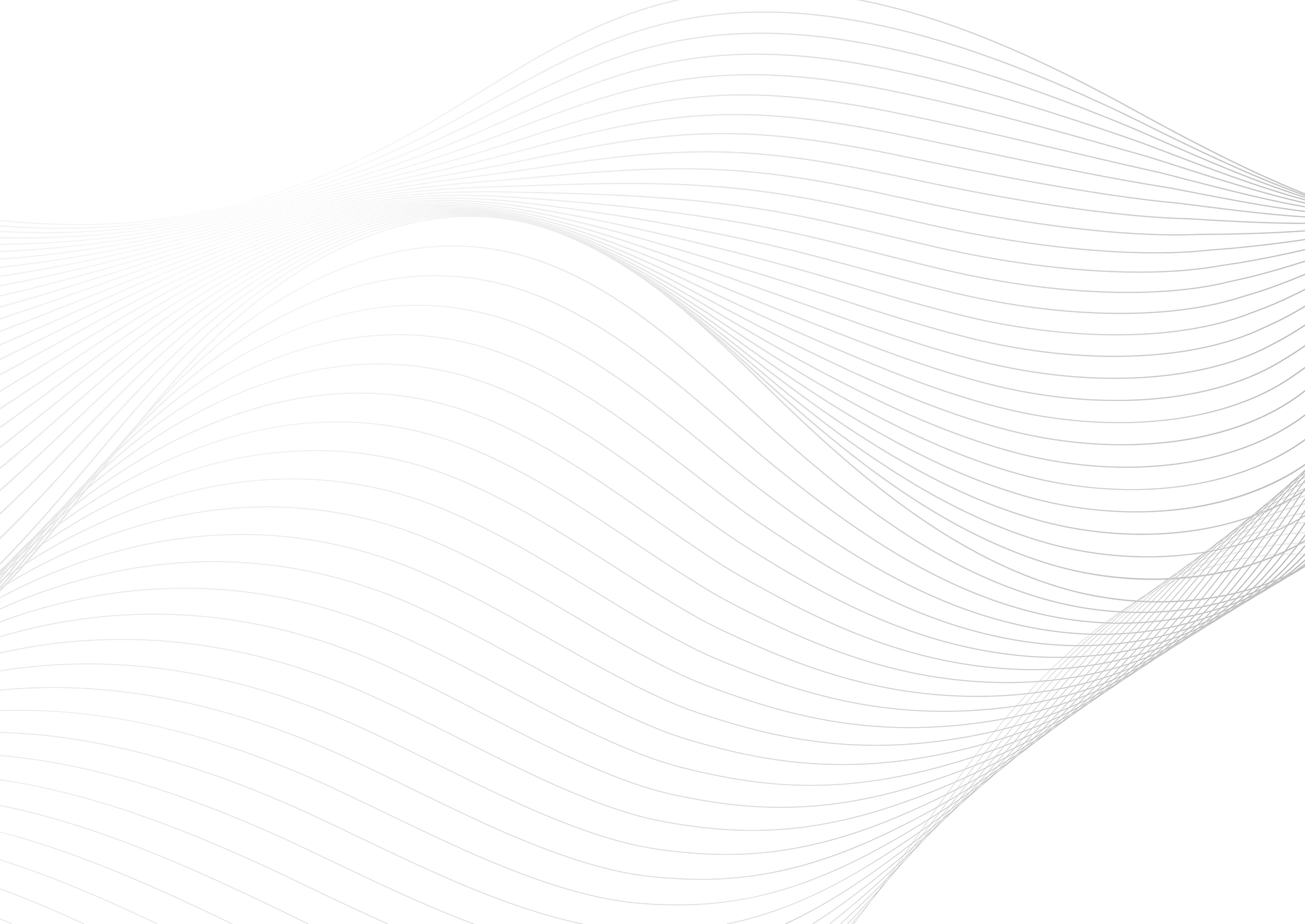 Web Site Tasarımcısı, Derik